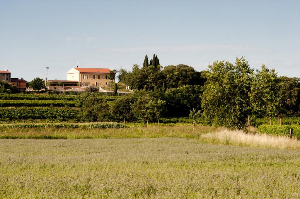 Agriturismo Panorama Salionze Bagian luar foto
