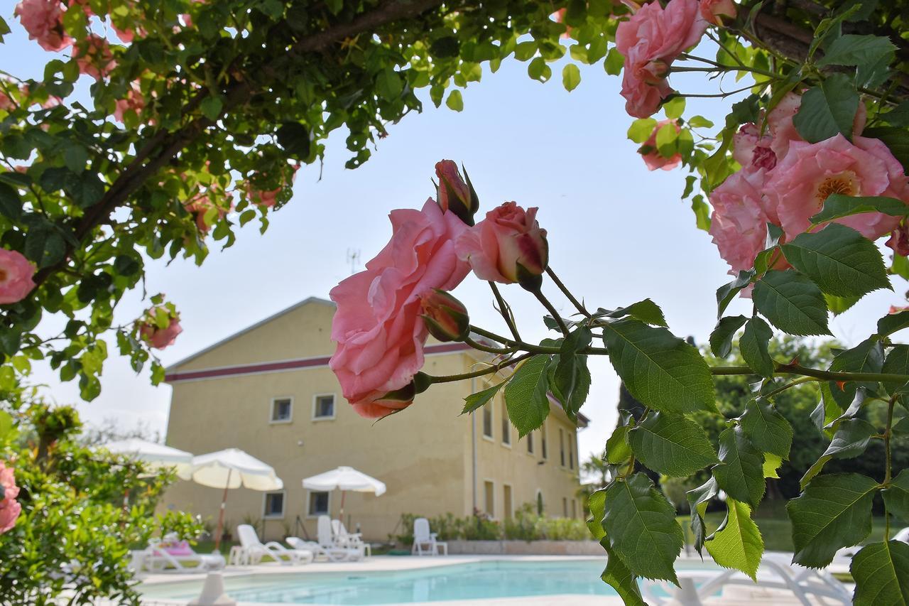 Agriturismo Panorama Salionze Bagian luar foto