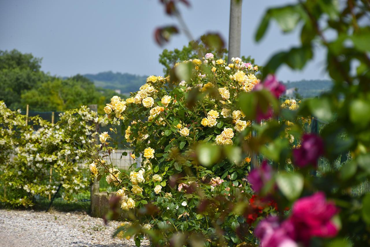 Agriturismo Panorama Salionze Bagian luar foto